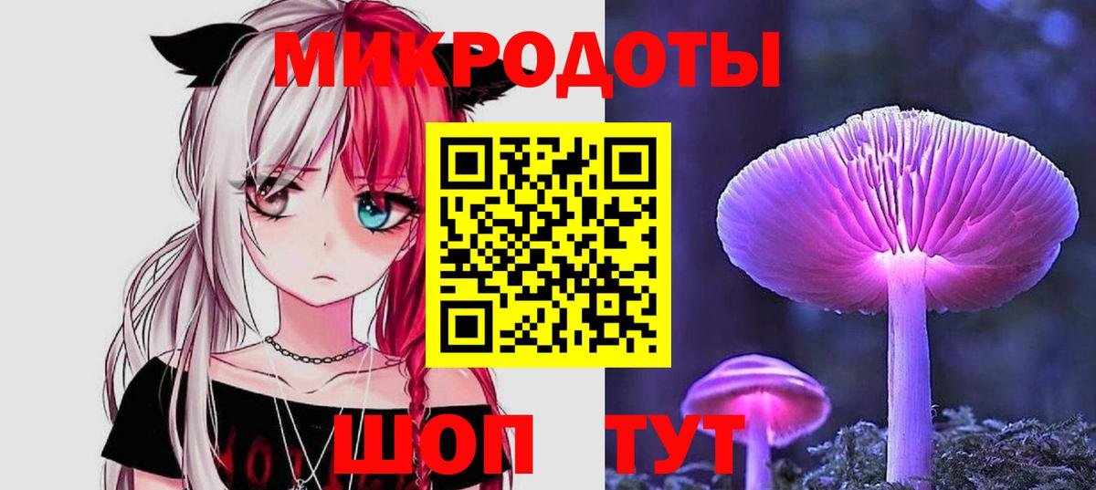Галлюциногенные грибы Psilocybine cubensis Новозыбков