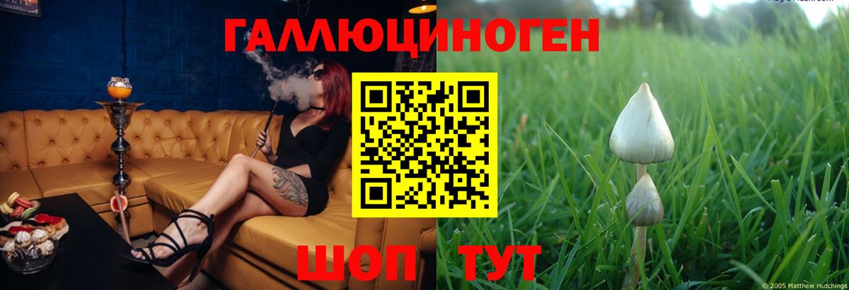 Псилоцибиновые грибы прущие грибы  Псилоцибиновые грибы Psilocybine cubensis  купить наркоту  Вход с VPN  Новозыбков 